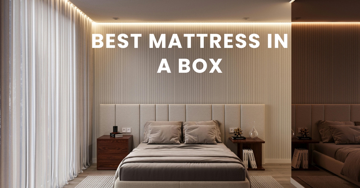 The Best Mattress in a Box: Everything You Need to Know